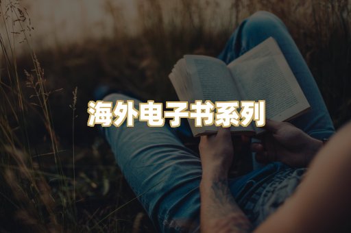 海外电子书系列